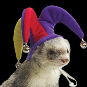 Meet your Posher, Glenn